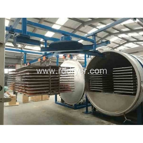 dryer in food industry food lyophilizer for sale